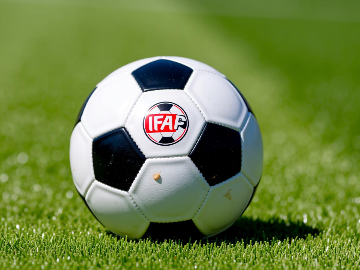 米兰体育milan-国家队技战术复盘缺乏多平台公开解读，国家队战斗方式  第2张