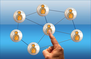 米兰体育入口-印度队2024年世界杯：从经验到信心的全面提升，印度1950世界杯  第2张